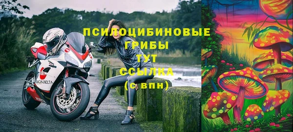 крисы Слюдянка