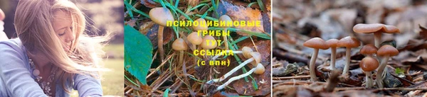 ALPHA PVP Снежногорск