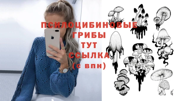 ALPHA PVP Снежногорск